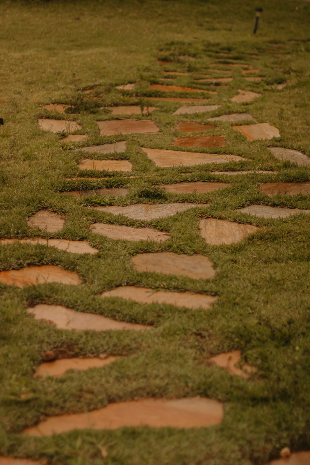 Flagstone stepping-stone path set into a well-maintained lawn