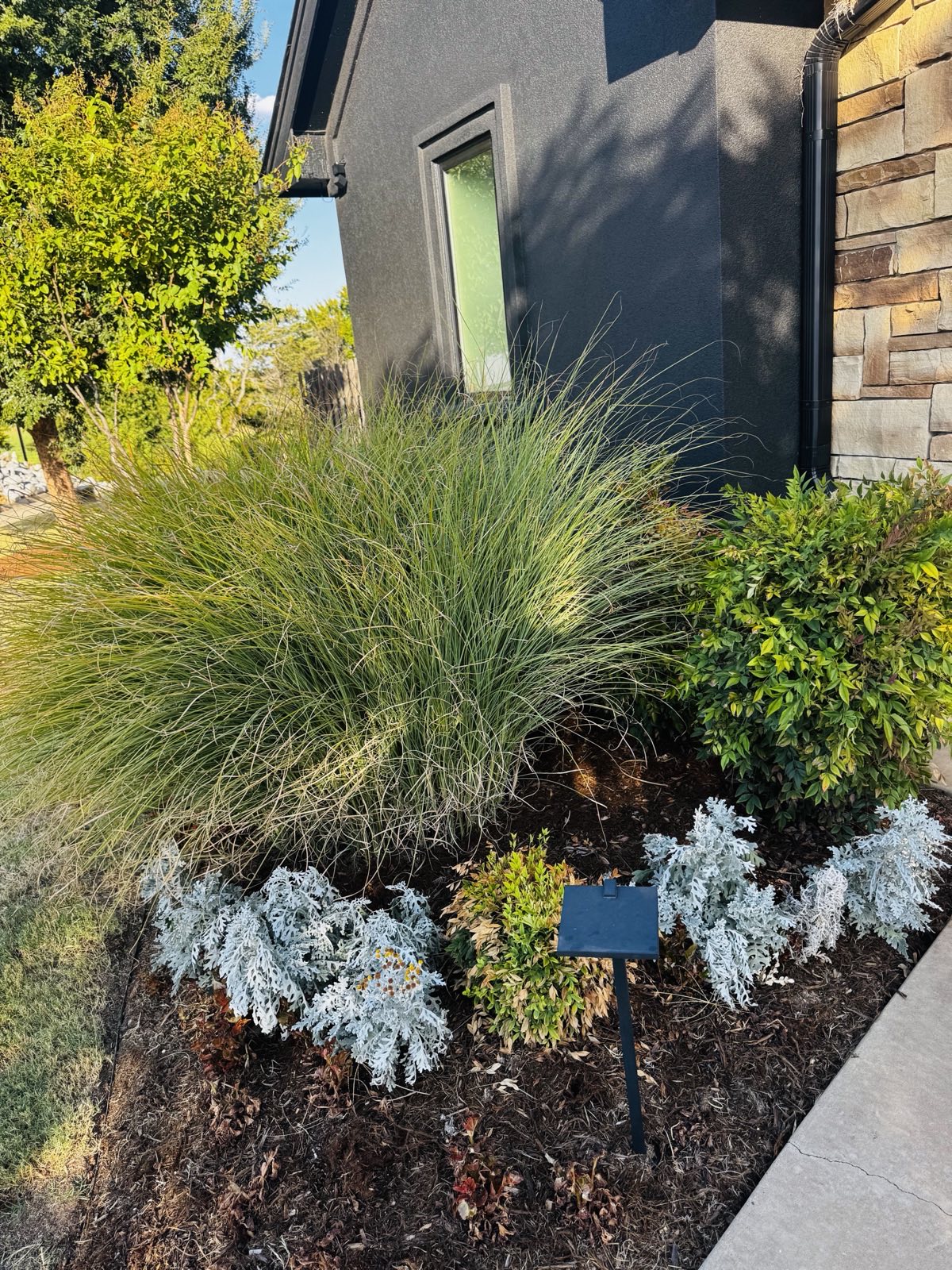 Landscape Design & Installation