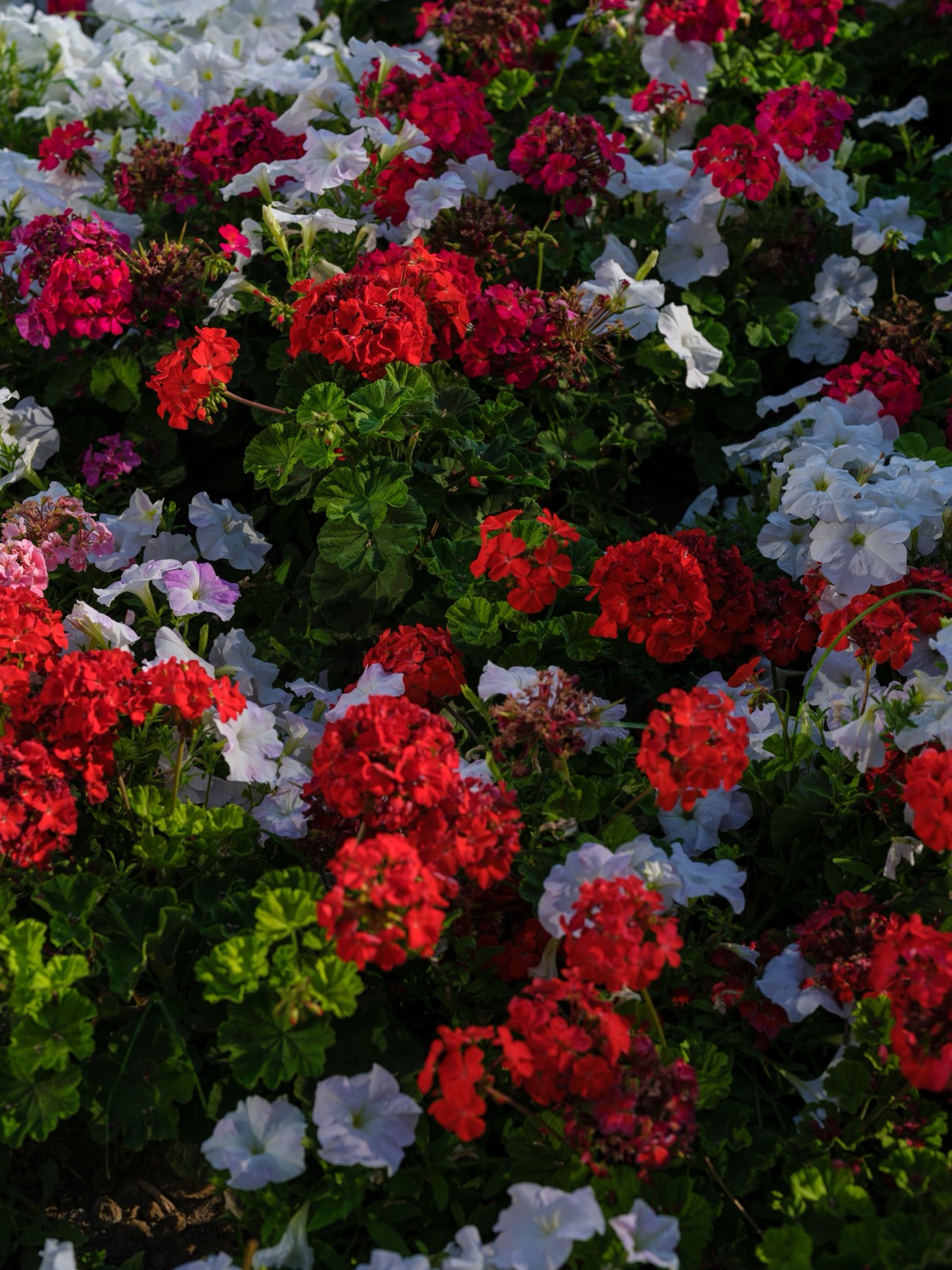 Seasonal Color example