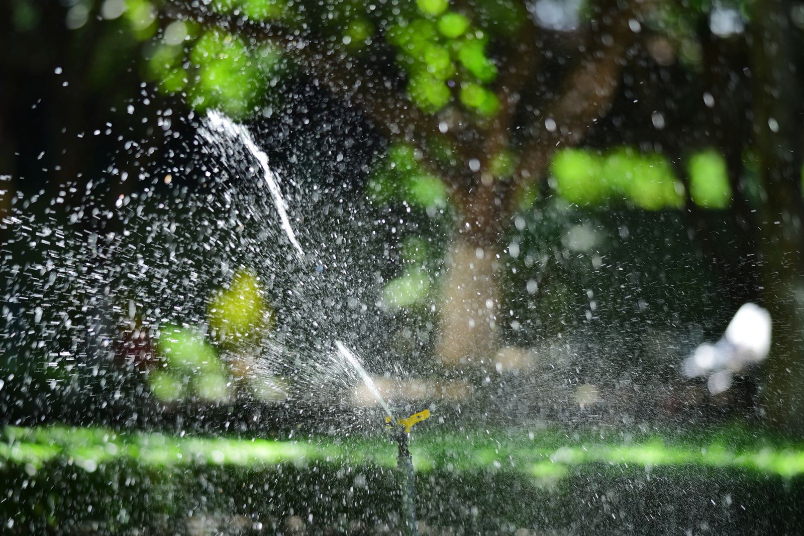 Sprinkler irrigation system installed in a residential lawn